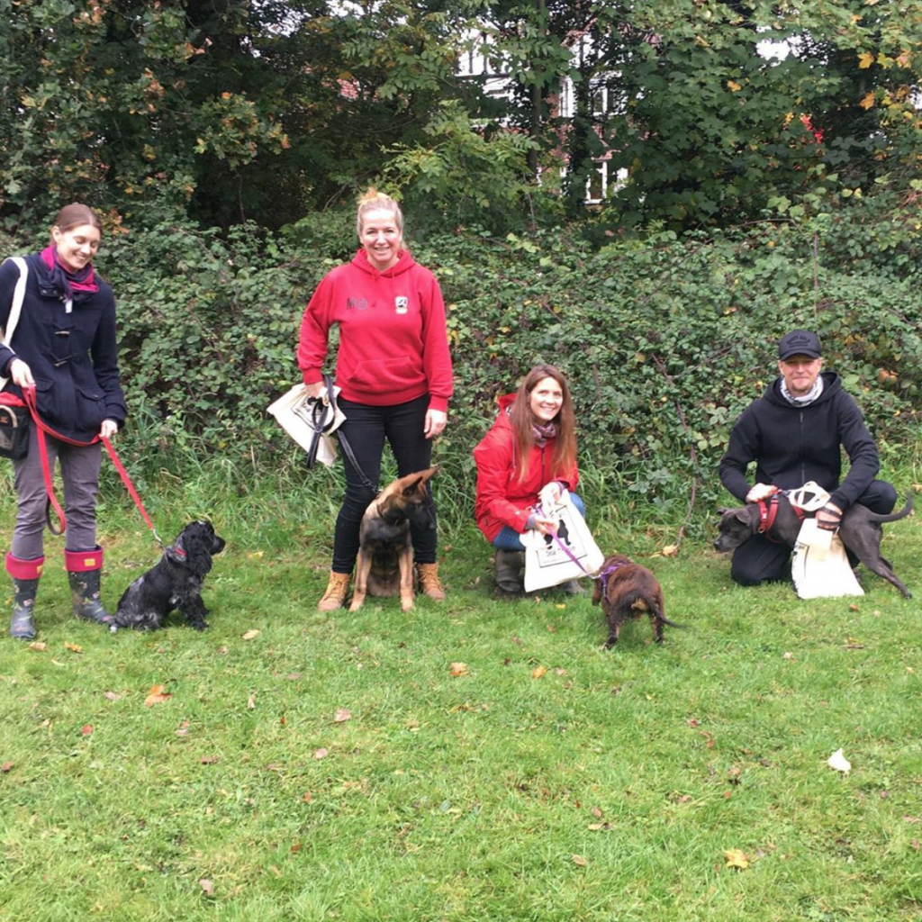dog training in essex