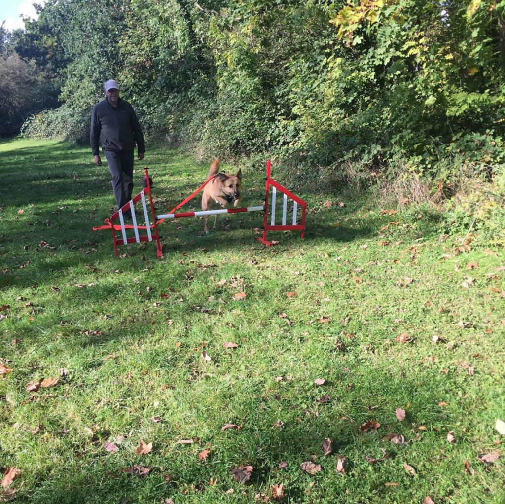 one to one classes essex